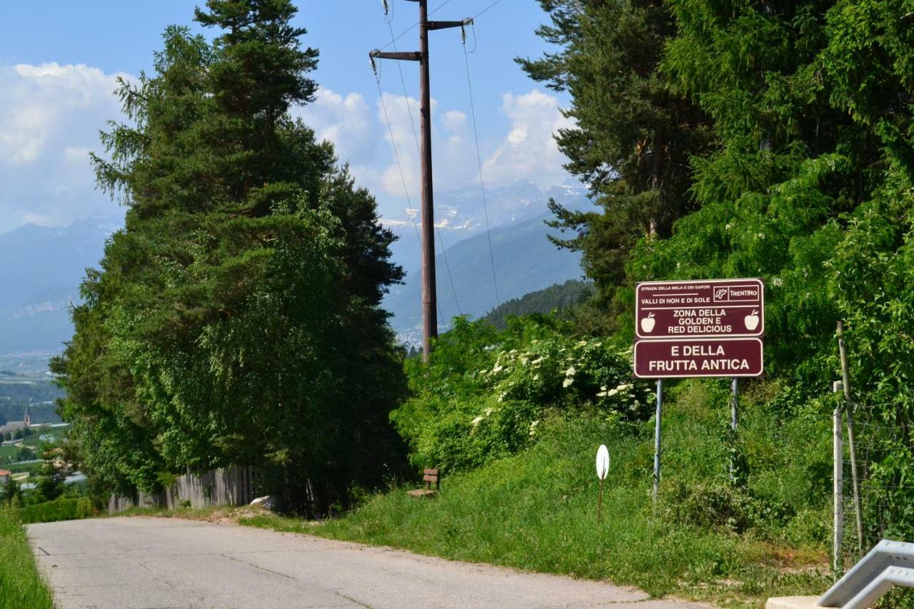 Вилла Agritur Maso Forcola Брец Экстерьер фото